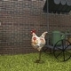 preview thumbnail 29 of 38, Metal Eclectic Garden Sculpture Birds 17 x 10 x 5