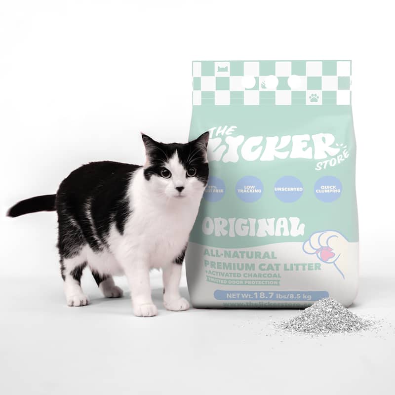 Unscented Premium Clumping Bentonite Clay Cat Litter w/Activated Charcoal