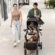preview thumbnail 4 of 8, Pivot Troop Child and Pet Modular Travel System