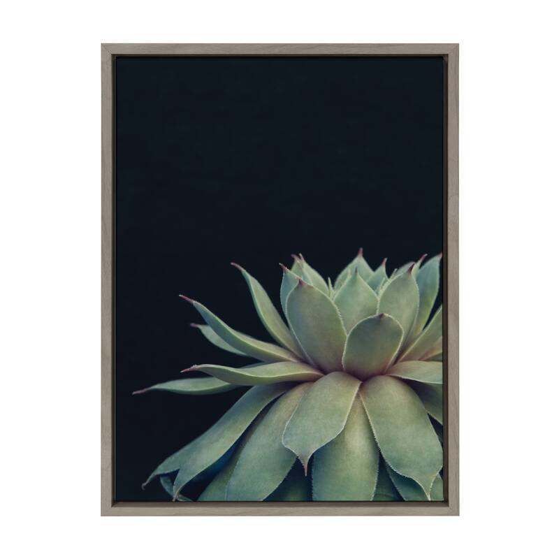 Sylvie Succulent 18x24 Gold Framed Canvas Wall Art by F2 Images