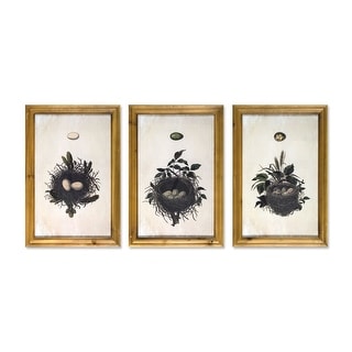 Shop Set Of 3 Wooden Framed Nest Prints 17 75 Overstock 27435564