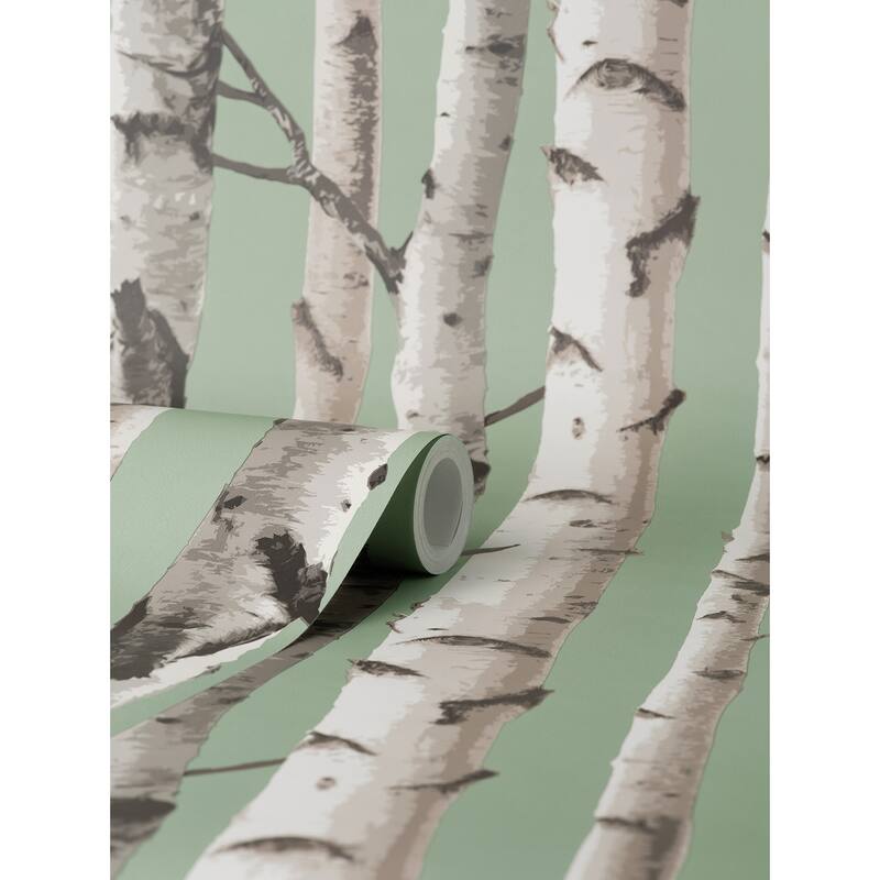 Fine Decor Chester Sage Birch Trees Wallpaper