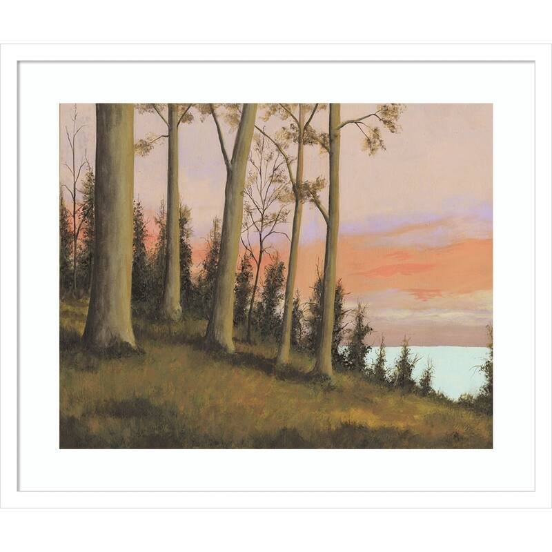 Remote Lakeshore No. 2 by Michael Willett Wood Framed Wall Art Print - Svelte White