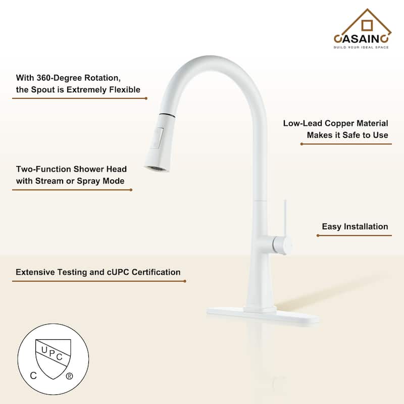 Single Handle Pull-Down Sprayer Kitchen Faucet