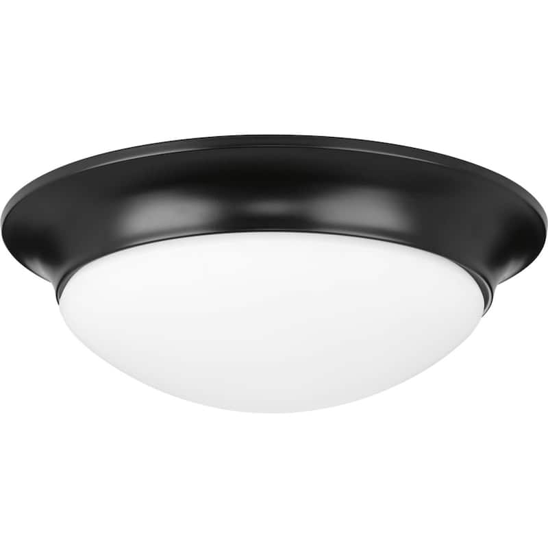 Progress Lighting 2 Light 14" Wide Flush Mount Bowl Ceiling Fixture - Black
