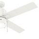 preview thumbnail 13 of 13, Hunter 52" Beck Ceiling Fan with LED Light Kit and Pull Chain - Transitional, Modern, Farmhouse