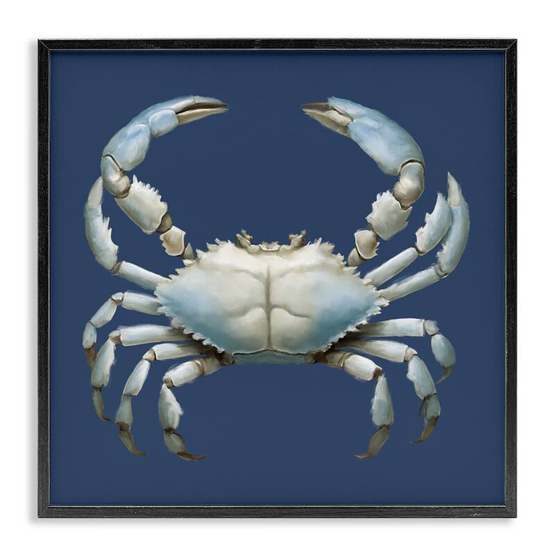 Stupell Detailed Aquatic Blue Crab Framed Giclee Art Design By Elizabeth Medley - 12 x 12 - Black