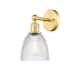 Option Clear / Satin Gold