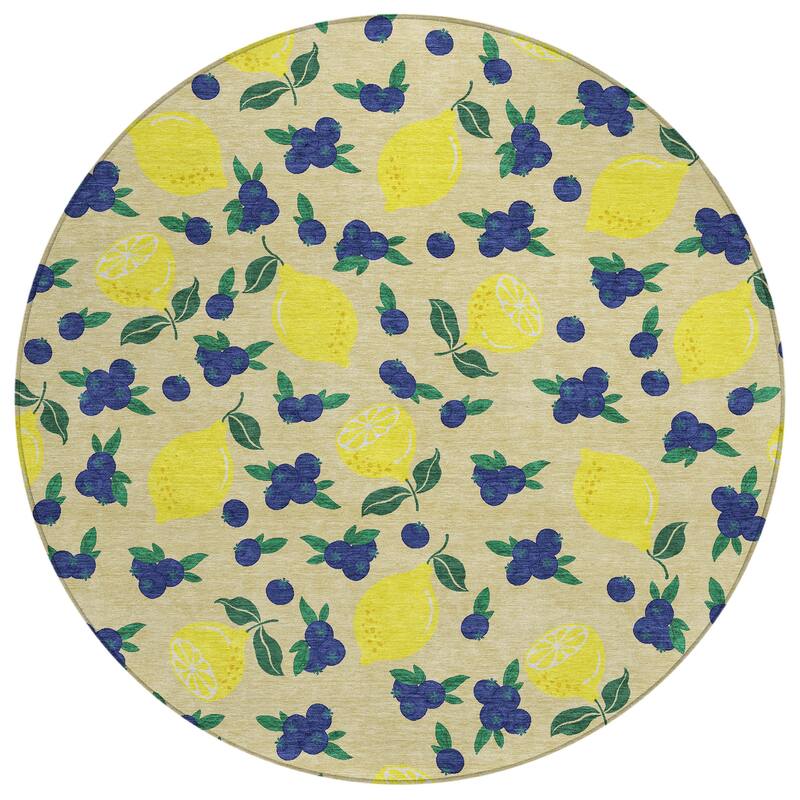 Machine Washable Indoor/ Outdoor Citrus Berry Chantille Rug