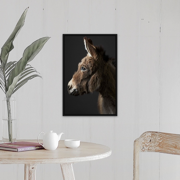 Donkey frame sales