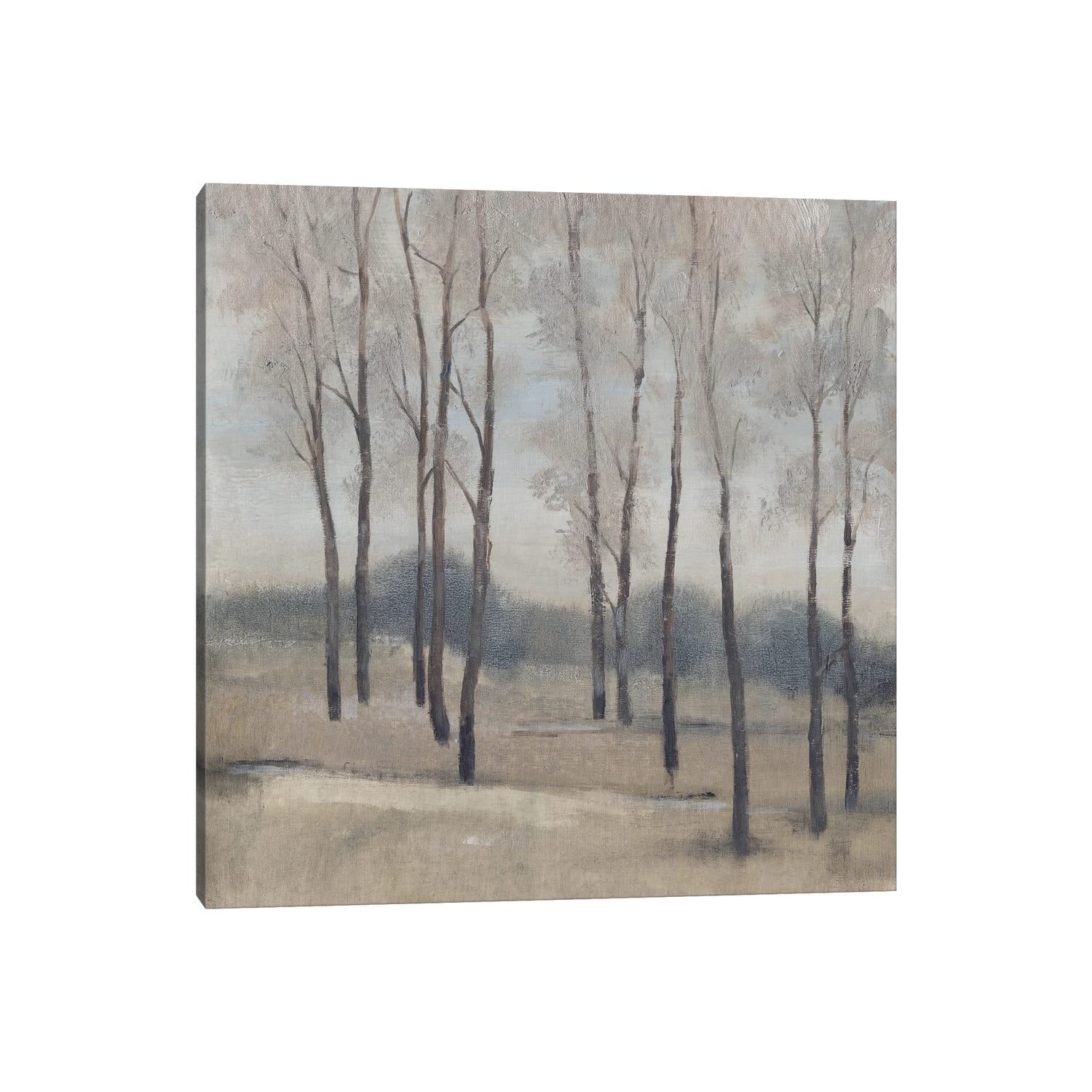 iCanvas "Soft Light II" by Tim OToole Canvas Print