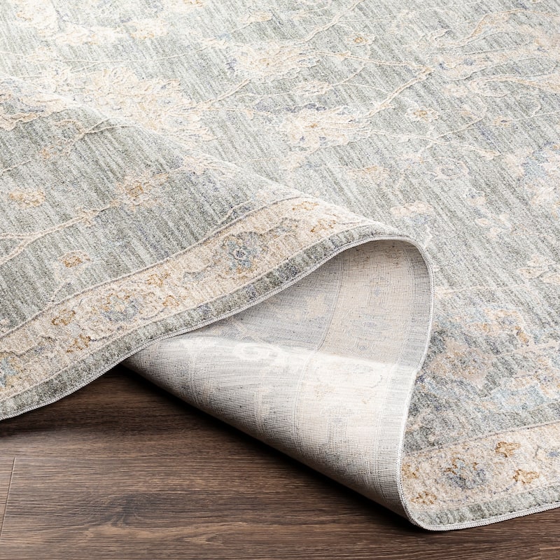 Livabliss Tritan Traditional Area Rug