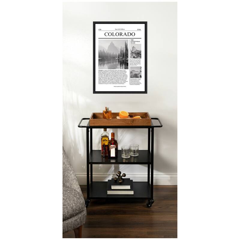 Kate and Laurel Colorado Article by Megan Ryan Framed Canvas Wall Art Print