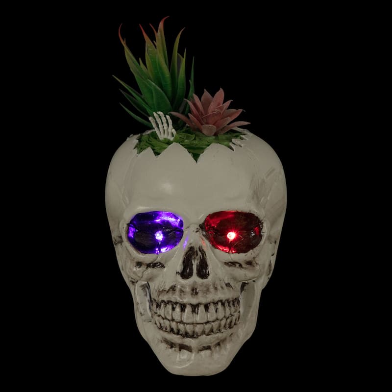 LED Lighted Succulent Halloween Skull Planter - 8.75"