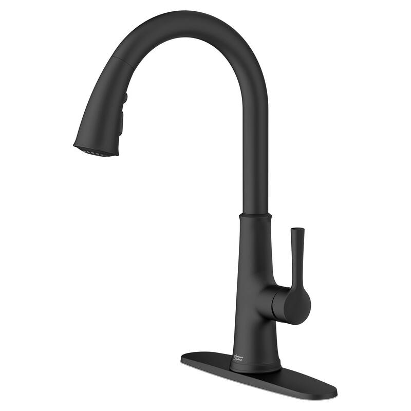 American Standard 9319.310 Renate 1.5 GPM Single Hole Pull Down