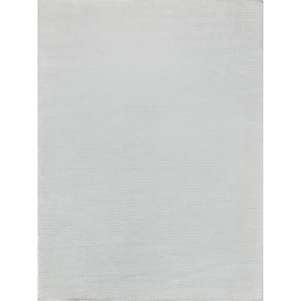 EXQUISITE RUGS Gamma Indoor/Outdoor Flatweave PET yarn Ivory Area Rug.