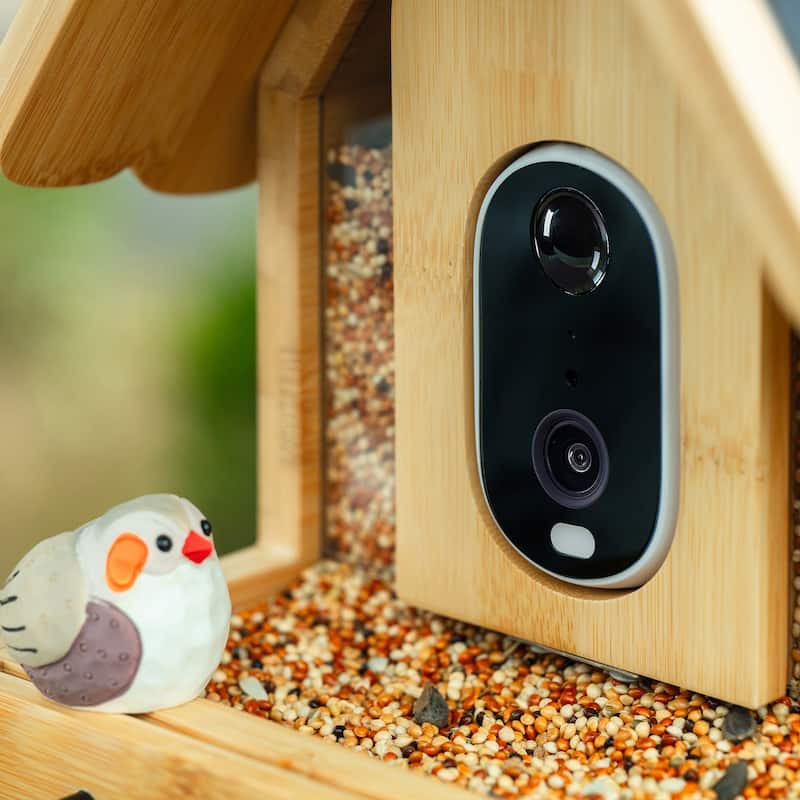 Smart Solar Bamboo Bird Feeder with 3MP AI Camera, 144° Wide-Angle Lens and Daily Video Highlights