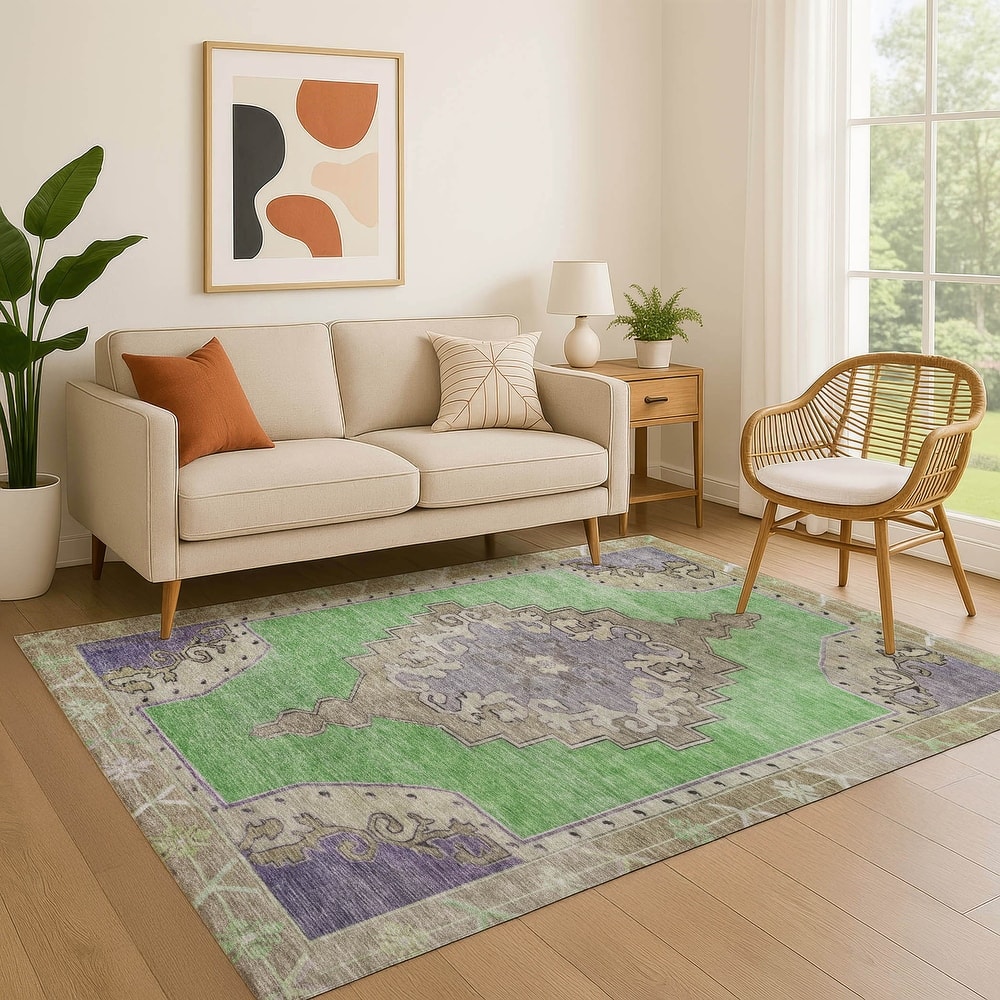 Premium Washable Super Soft Vintage Traditional Mayfield Rug