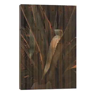 Aloe Vera In Croatia Print On Wood by Sebastian Hilgetag - Multi-Color