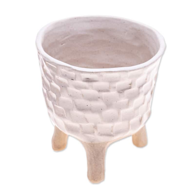 Novica Handmade Luminous Roots Ceramic Flower Pot