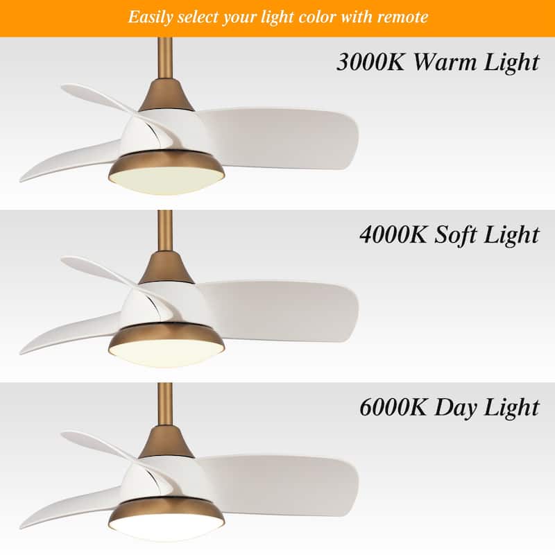 28" Black Modern Dimmable LED Ceiling Fan with Light and Remote