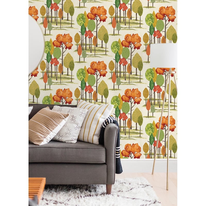 Cypress Orange Tall Trees Wallpaper