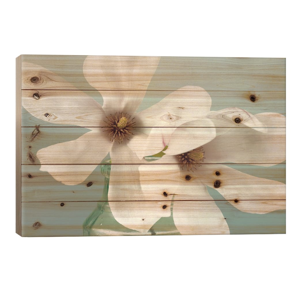 Magnolias Print On Wood by Assaf Frank - Multi-Color