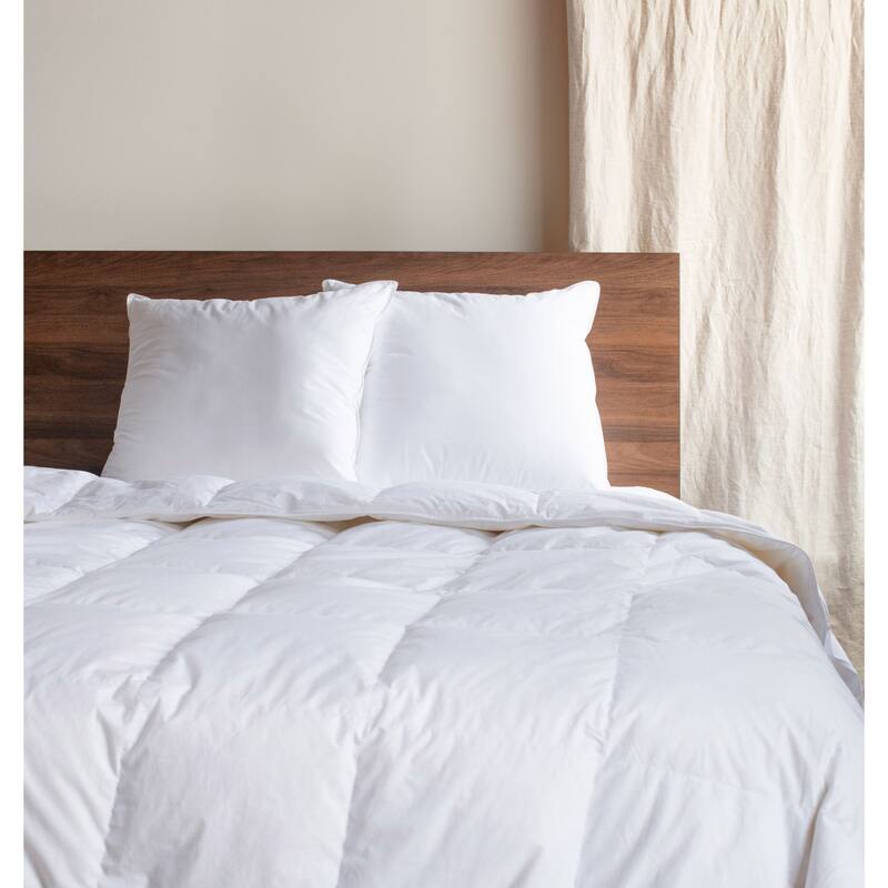 2 Pack Down Alternative Throw Pillow Insert by BOKSER HOME - Pillow Inserts - 24" x 24" - Set of 2