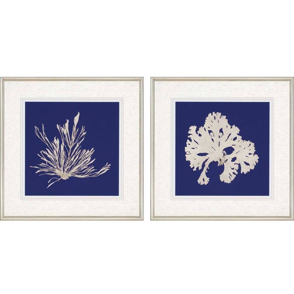 Seaweed on Navy II S/2 Framed Art Giclee Under Glass Blue Bed Bath