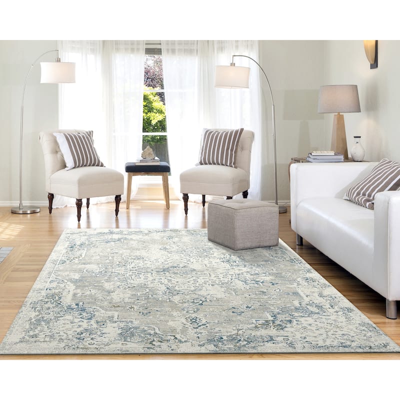 Dynamic Rugs Quartz Transitional Area Rug