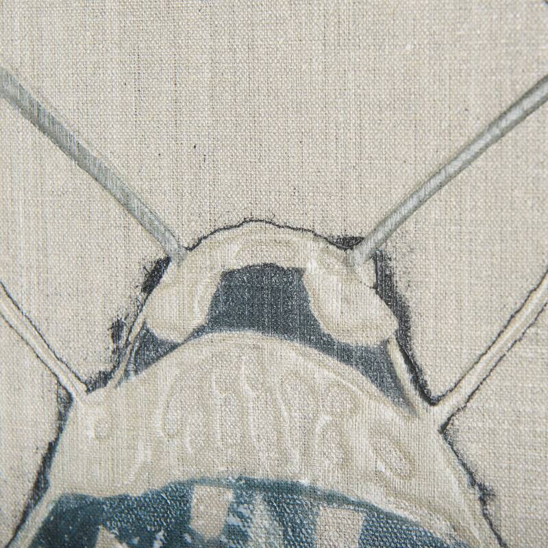 Moth Blue I (20 x 20 ) Canvas Art Print