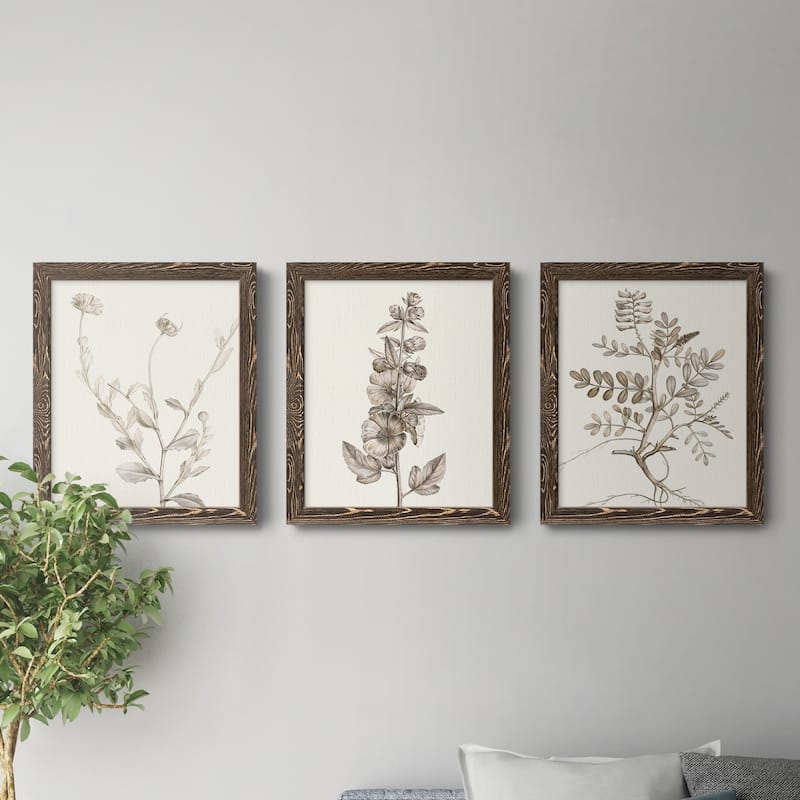 Neutral Botanical Study IV-Premium Framed Canvas - Ready to Hang - Multi-Color