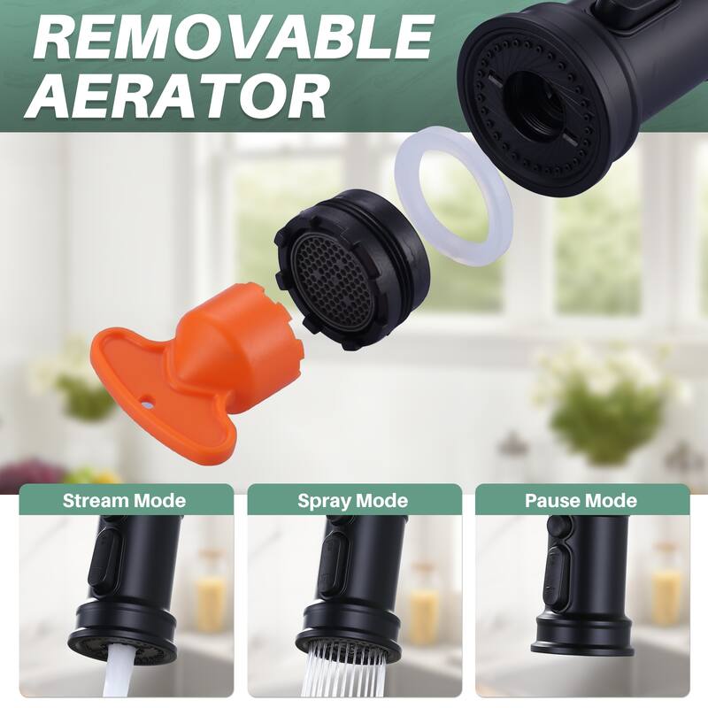 WOWOW Double Handle Bridge Kitchen Faucet with Advanced Spray