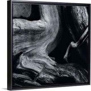Shop Dead Tree Trunk Black Float Frame Canvas Art Overstock