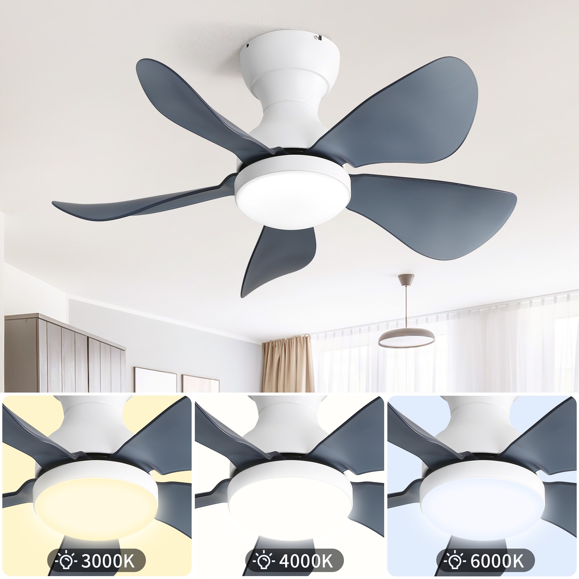CLANE×BLANC W2LN07.jpg?width=170&height=