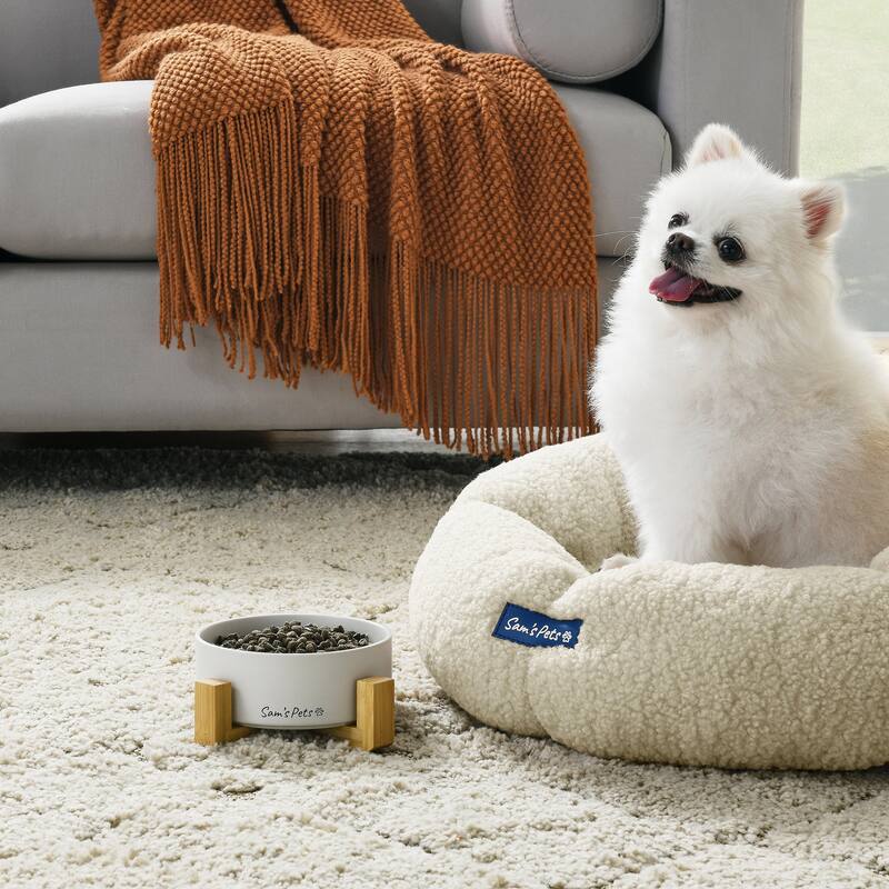 Coco Single Pet Bowl with Wood Stand 5.11'' in White - 6.3