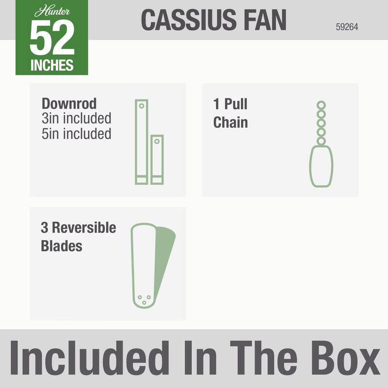 Hunter 52" Cassius Outdoor Ceiling Fan with Pull Chain, Damp Rated - Industrial, Contemporary, Farmhouse