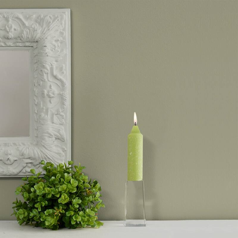 Root Unscented 5 In. Timberline™ Collenette Taper Candles box of 8 - 5 X 1-1/4