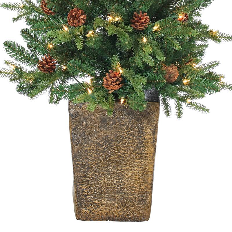 Charming 4 Foot Potted Natural Cut Georgia Pine