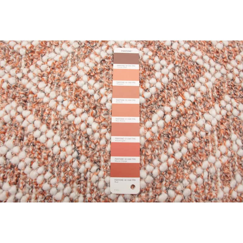 ECARPETGALLERY Braid weave Sienna Copper Wool Rug - 5'2 x 7'11