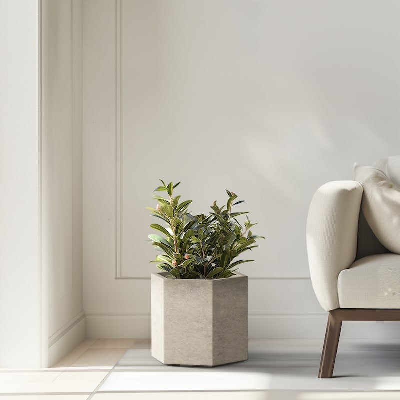 Concrete Geometric Plant Pots / Large Indoor and Outdoor flower Planters