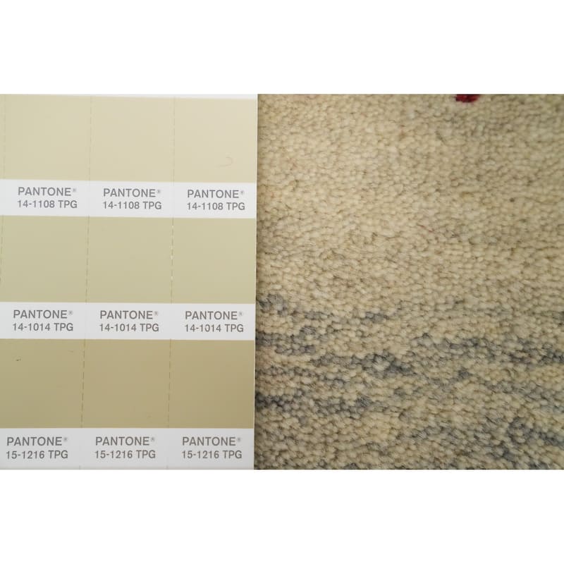 Hand Knotted Oriental 100% Wool Carpet Tribal Animal Pictorial Beige & Ivories Gabbeh Area Rug - 6' 5'' X 3' 6''
