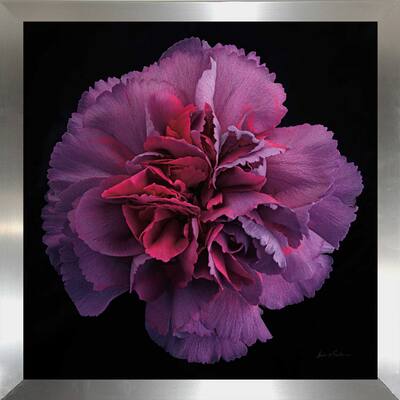 "Floral Majesty IV" Print on Acrylic