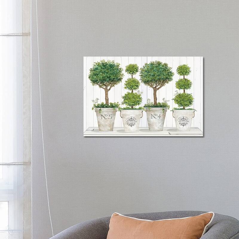 iCanvas "Topiary Still Life" by Cindy Jacobs Canvas Print - 18x26x1.5