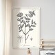 preview thumbnail 8 of 8, Antique Black & White Botanical-Premium Gallery Wrapped Canvas