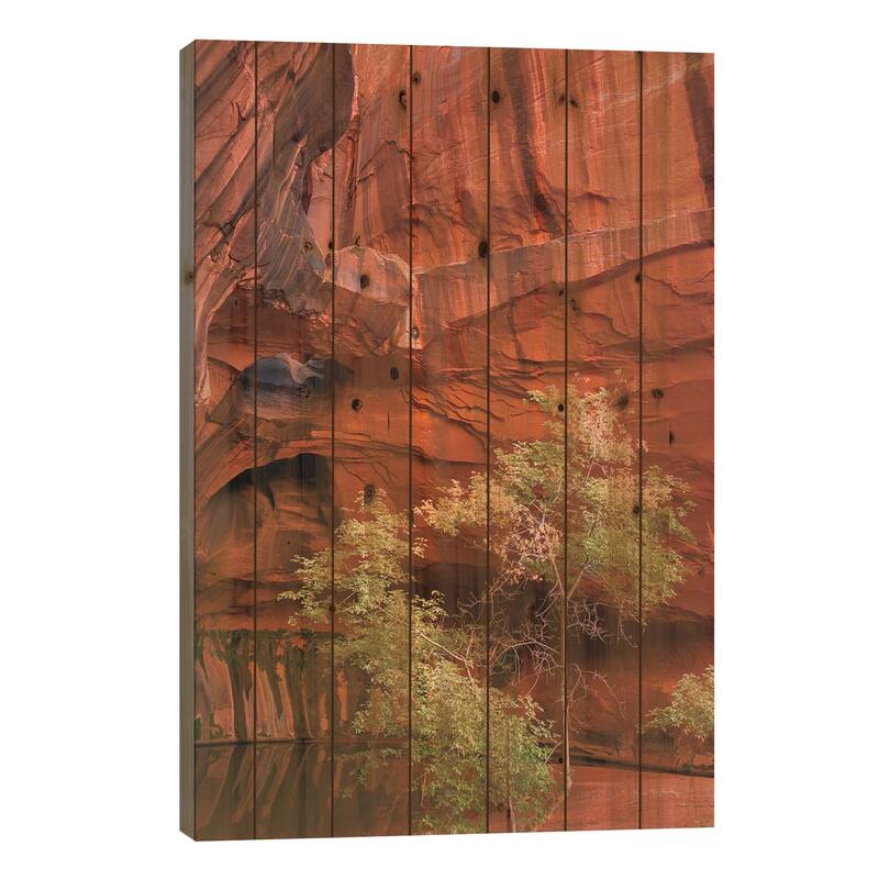 Neon Canyon III Print On Wood by Alan Majchrowicz - Multi-Color - 40x26x1.5