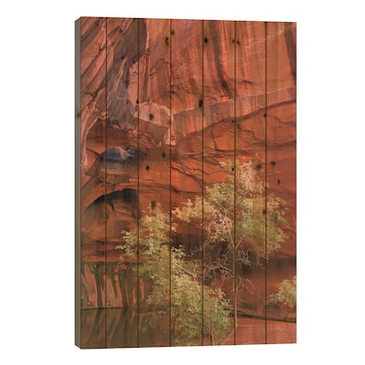 Neon Canyon III Print On Wood by Alan Majchrowicz - Multi-Color
