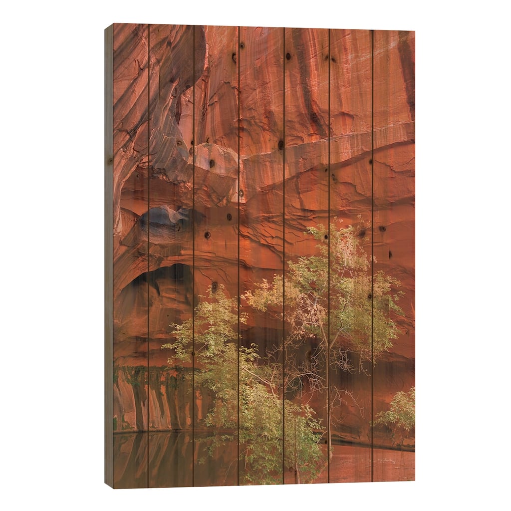 Neon Canyon III Print On Wood by Alan Majchrowicz - Multi-Color