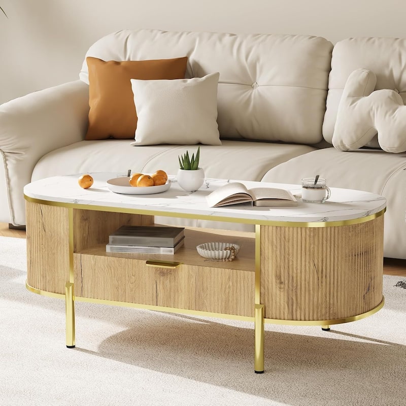 48in Modern Luxury Oval Coffee Table with Drawer for Living Room - N/A - Natural