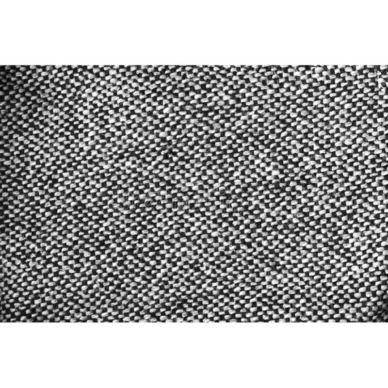 Laural Home Paris in Bloom Woven Throw with Fringe Edge